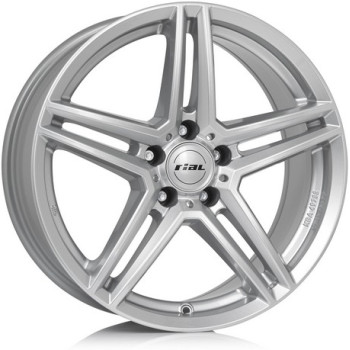 RIAL 6,5x16 M10 POLAR-SILBER